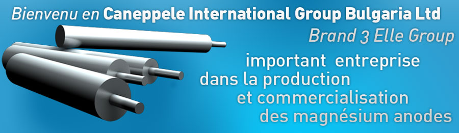 Caneppele International Group Bulgaria Ltd Brand 3 Elle Group